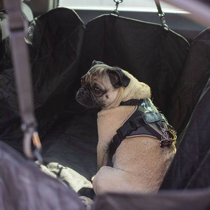 MrFluffyFriend™ - Autostoelhoes voor Honden