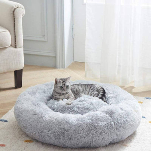 Wil je je kat een comfortabel leven geven?