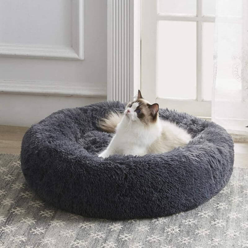 MrFluffyFriend - De Beste Kattenmanden Voor Het Verlichten Van Angst