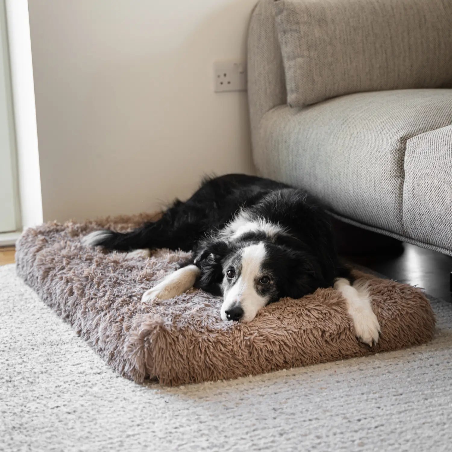 MrFluffyFriend - Orthopedisch Hondenkussen Voor Middelgrote Hondenrassen
