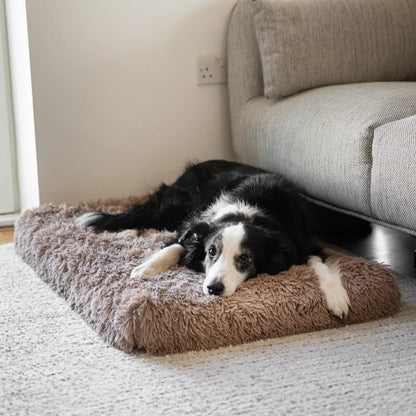 MrFluffyFriend - Orthopedisch Hondenkussen Voor Middelgrote Hondenrassen