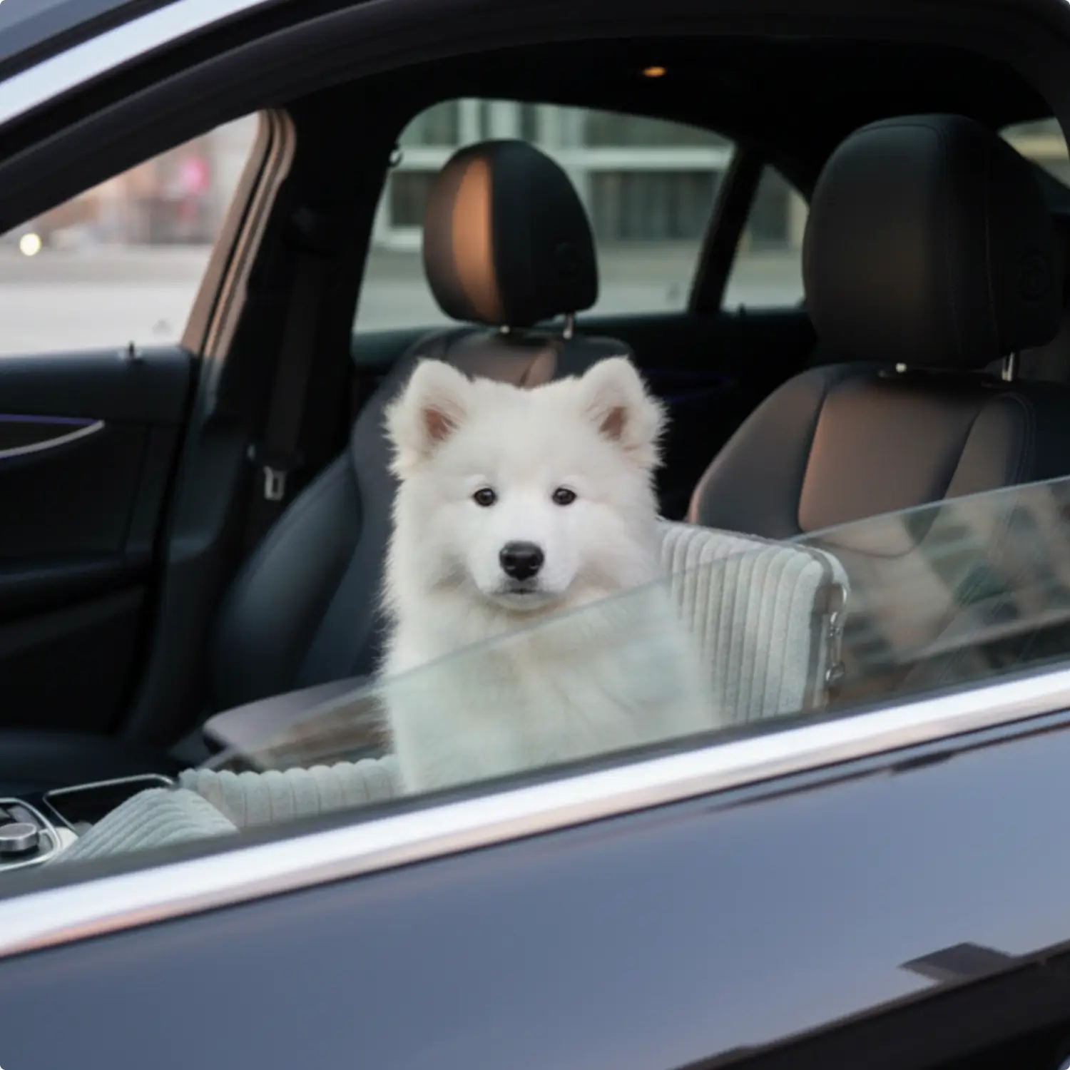 MrFluffyFriend - Beste Autostoeltje Voor Honden
