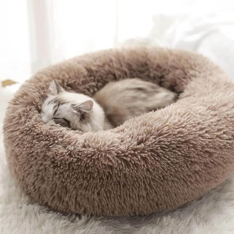 MrFluffyFriend - Het Beste Therapeutische Kattenbed